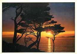 Coucher De Soleil - CPM - Voir Scans Recto-Verso - Hold To Light