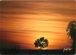 Coucher De Soleil - CPM - Voir Scans Recto-Verso - Hold To Light