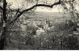 LUXEMBOURG #AS31367 DIEKIRCH PANORAMA - Diekirch