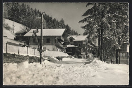 AK Beatenberg, Tea-Room Häsler Und Hotel Edelweiss Im Winter - Beatenberg