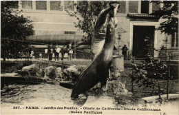 Delcampe - CPA PARIS (5e) Jardin Des Plantes. Otarie De Californie (601911) - Museen