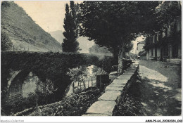 AMNP9-0915-64 - La Douce France - Le Pays Basque - BIDARRAY - Basses-pyrénées - Le Vieux Pont En Dos D'âne Sur La Nive - Bidarray