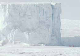 1 AK Antarctica / Antarktis * People At The Foot Of The Barne Glacier Near Cape Royds * - Altri & Non Classificati