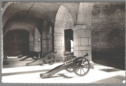 CPSM 38 - Virieu - Château - Galerie Des Canons - Virieu