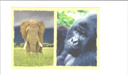 THEME  ELEPHANT  GORILLE       WWF             ****   RARE  A SAISIR *** - Turtles