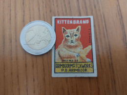 étiquette Boîte D'allumettes INDE "KITTEN BRAND - ARIMBOOR MATCH WORKS PO ARIMBOOR" (chat) - Matchbox Labels