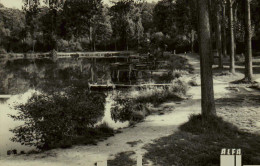 78 - VELIZY - L'Etang Des Ecrevisses - Velizy