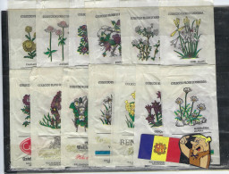 Azucar Sobres Andorre  Sucre  Colection 13 Fleurs Flores - Other & Unclassified