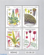 French Antarctic Territory 2021 Flora 4v M/s, Mint NH, Nature - Flowers & Plants - Ongebruikt