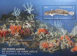 French Antarctic Territory 2025 Sea Landscape Of Terre Adélie S/s, Mint NH, Nature - Fish - Corals - Ongebruikt