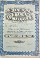 S.A. Financière Des Grands Immeubles - Act.priv.de1000 Fr Blauw Immobilien - Afrika