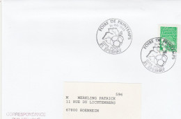 Motive Sport Fußball Fußball-Weltmeisterschaft 1998  Frankreich Brief Mit Sonderstempel Epernay 1998 - 1998 – Frankrijk