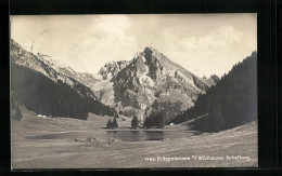 AK Wildhaus, Gräppelensee Mit Wildhauser Schafberg - Wil