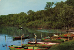 89 - Champigny Sur Yonne - Pont Renard - Les Bords De L'Yonne - Champigny