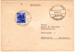 SBZ 1948, EF 50 Pf. Auf Brief M. Mode Werbestempel V. Meerane N. Dänemark - Covers & Documents
