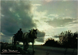 Delcampe - CPA MONIER ALBERT-Prestige De La Terre-Avant L'orage (331583) - Monier