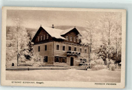 39229555 - Kurort Kipsdorf - Bannewitz