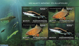 Hungary 2024 Europa, Marine Life S/s, Mint NH, History - Nature - Europa (cept) - Fish - Ungebraucht