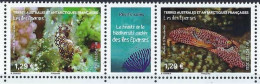 TAAF 2025 - La Beauté De La Biodiversité Cachée Des Iles Eparses - Ongebruikt