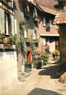 68 Eguisheim Rue Des Remparts N° 28 \MM5007 - Wittenheim