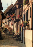 68 Eguisheim Ruelle Aux Maisons Pittoresques Du XVI E Siecle N° 23 \MM5007 - Wittenheim