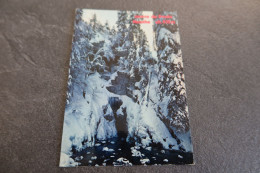 CP - MOUTHE (25) - La Source Du Doubs En Hiver - Mouthe