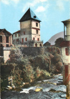 65 Mauléon Barousse Le Vieux Château Et L'ourse  N° 36\MM5057 - Mauleon Barousse