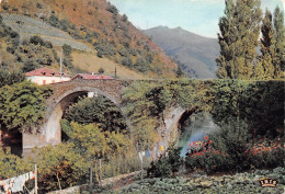 64 BIDARRAY Le Pont Romain Carte Vierge Non Circulé édition CD (Scans R/V) N° 14 \MO7062 - Bidarray