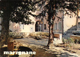 13 MARIGNANE Le Jardin De La Mairie (Scan R/V) N° 43 \OA1036 - Marignane