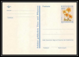 2087/ Autriche (Austria) Entier Stationery Carte Postale (postcard) Neuf Tb Fleurs (plants - Flowers) - Autres & Non Classés