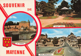 53 MAYENNE COULEURS NATURELLES - Mayenne