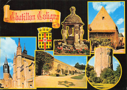 45 CHATILLON COLIGNY LA TOUR DU CHATEAU DE COLIGNY - Chatillon Coligny
