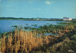 82 MONTECH LA PISCICULTURE - Montech