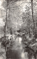 91-BOISSY LA RIVIERE-N°T228-C/0239 - Boissy-la-Rivière
