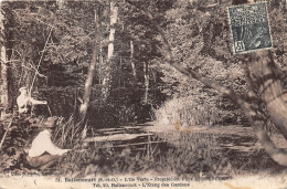 91-BALLANCOURT-N°T228-C/0233 - Ballancourt Sur Essonne