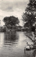 95-HAM-CERGY-N°T229-F/0279 - Cergy Pontoise