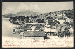 AK Weggis, Panoramablick Mit Pilatus - Weggis