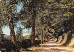 23-BOURGANEUF-N°T240-A/0375 - Bourganeuf