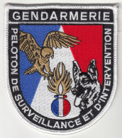 Insigne De Poitrine Du Peloton De Surveillance Et D'Intervention De La Gendarmerie - Police