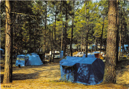 80-QUEND PLAGE LES PINS-N°T247-D/0363 - Quend