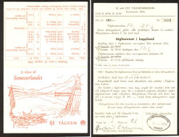 NORWEGEN Norge 1956 " Ofotbanen Arctic Train Narvik-Lulea-Boden " Deco Ticket "Semesterlandet" Billet Boleto Biglietto - Europe