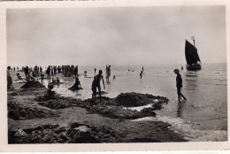 Quend Plage Les Pins La Plage - Quend