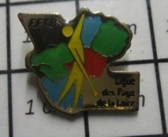 816c Pin's Pins / Beau Et Rare / SPORTS / TWIRLING BATON De Berger ?  FFTB LIGUE DES PAYS DE LA LOIRE - Ginnastica