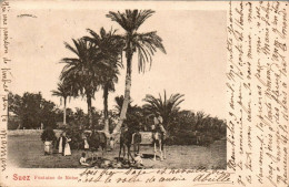 N°24017 W -cpa Suez -fontaine De Moïse- - Suez
