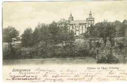 Sclaigneaux , Château Du Chant D'Oiseaux - Andenne