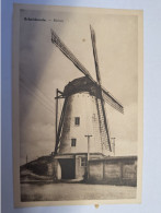 SCHELDERODE MOLEN MOOI  ZICHT   RAAR TOP (j) - Sint-Laureins
