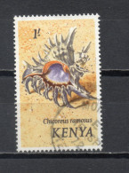 KENYA    N° 43    OBLITERE     COTE 0.15€    COQUILLAGE ANIMAUX FAUNE - Kenya (1963-...)