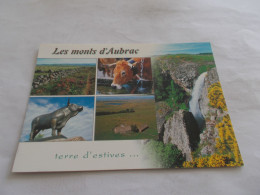 LES MONTS D AUBRAC ( 48 Lozere )  MULTIVUES CASCADE  VACHES  STATUE TAUREAU  ET CAMPAGNE - Aumont Aubrac