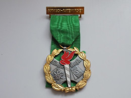 MEDAILLE COMMEMORATIVE ALLEMANDE - Other & Unclassified