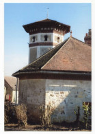 Carte-photo "Ancien Pigeonnier - Colombier - Puiseux-Pontoise" Val D'Oise - Pigeon - Colombophilie - Colombophile - Cergy Pontoise